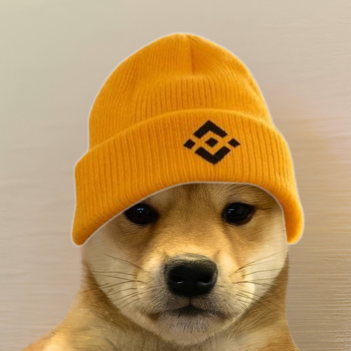 <a href="/binanceafrique/">Binance Afrique</a> gm