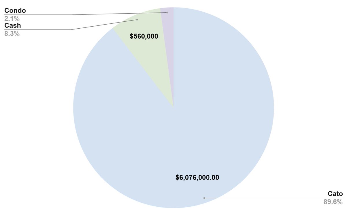 ocinv123's tweet image. $CATO ,condo, cashola

asset allocation
#concentratedinvesting #microcaps