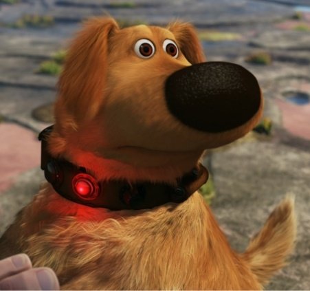 Here's a photo of the alleged shooter