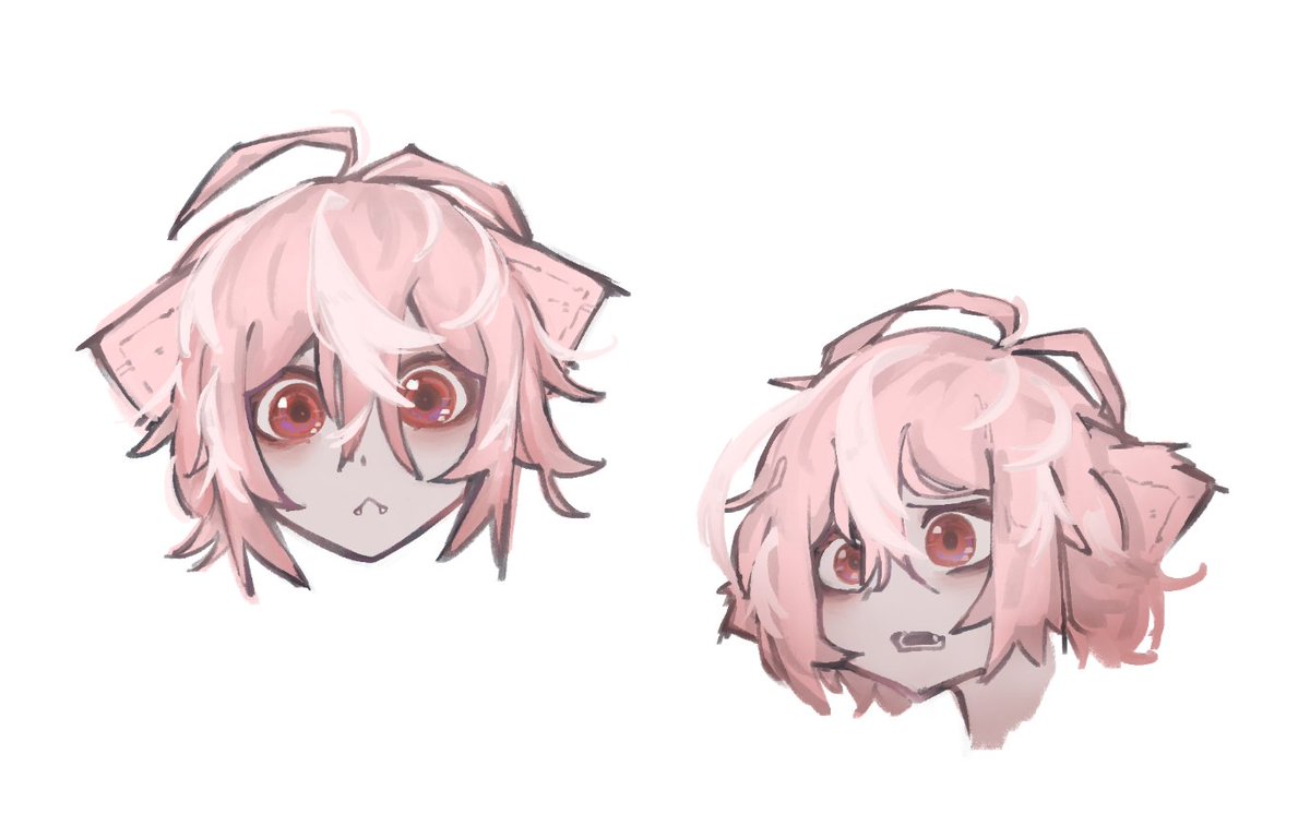 voice📦📦📦 tweet media