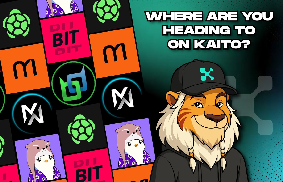 0xAmberCT's tweet image. Campaigns ended, millions paid.

If you&apos;ve been part of this billion-dollar market, you may need a compass.

Where are you heading with Kaito?

A thread. 🧵👇