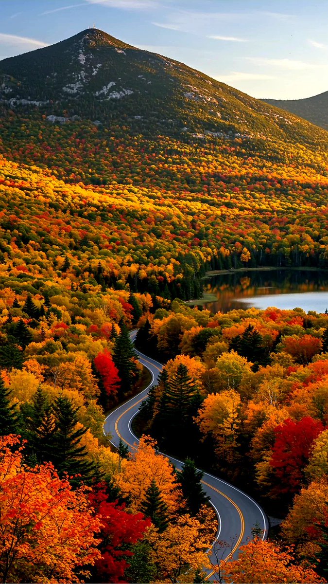 ElennaVolkovsk1's tweet image. Experience the autumn splendor of the White Mountains, Washington (New Hampshire) - the highest mountain in the northeastern United States at 1,917 m.