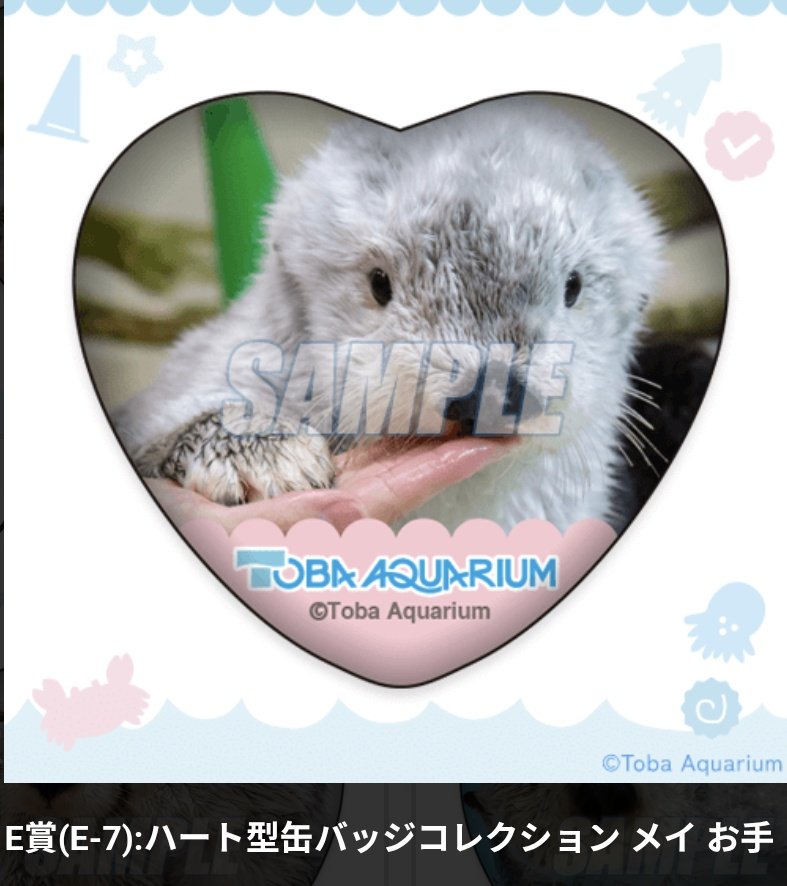 misoshiruko_33 tweet picture