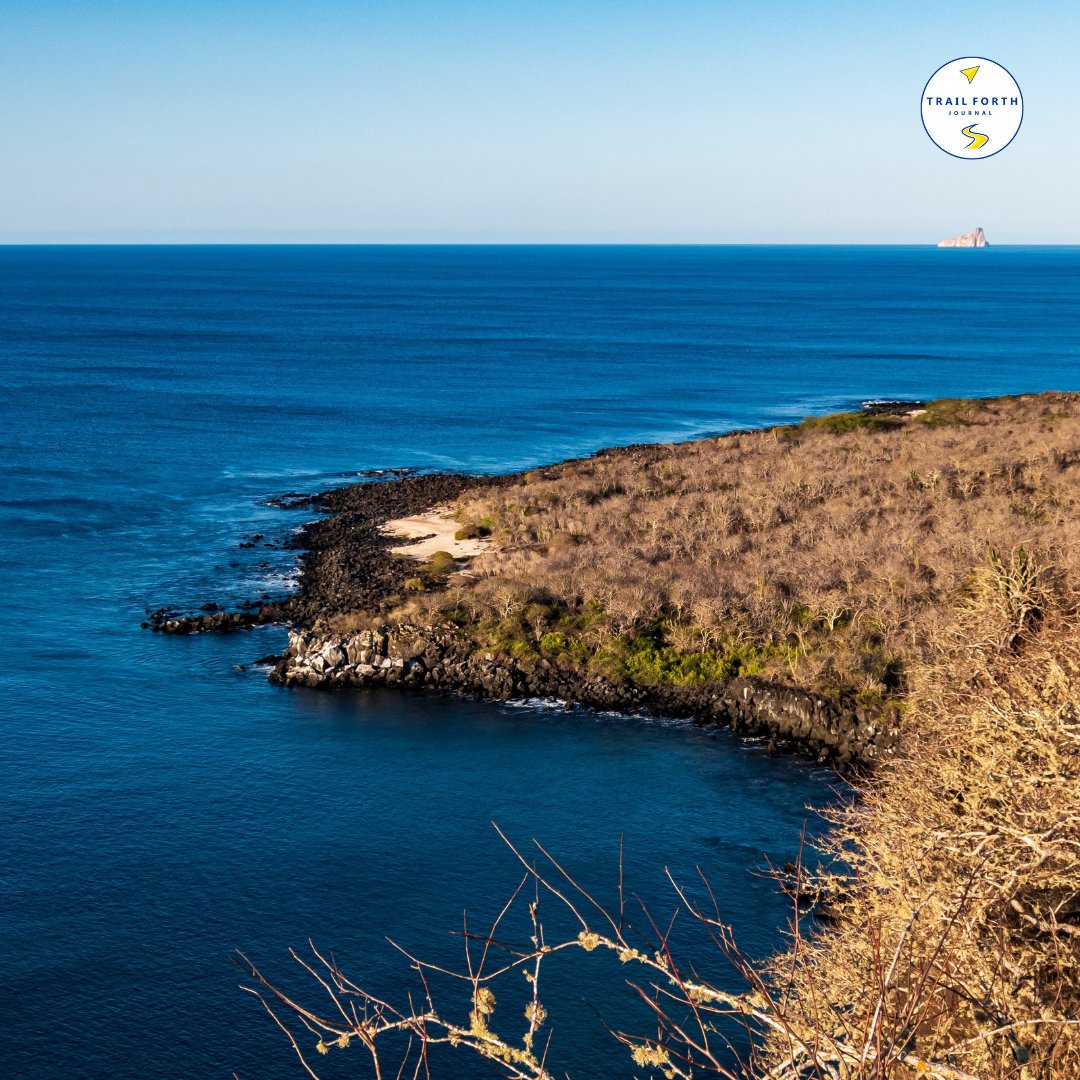 trailforth's tweet image. 🌅 San Cristóbal Island is home to unique species such as sea lions 🦭 and frigatebirds, as well as marine and terrestrial 🐢 ecosystems of great ecological value.

#Ecuador 🇪🇨 ❤️ #Galápagos