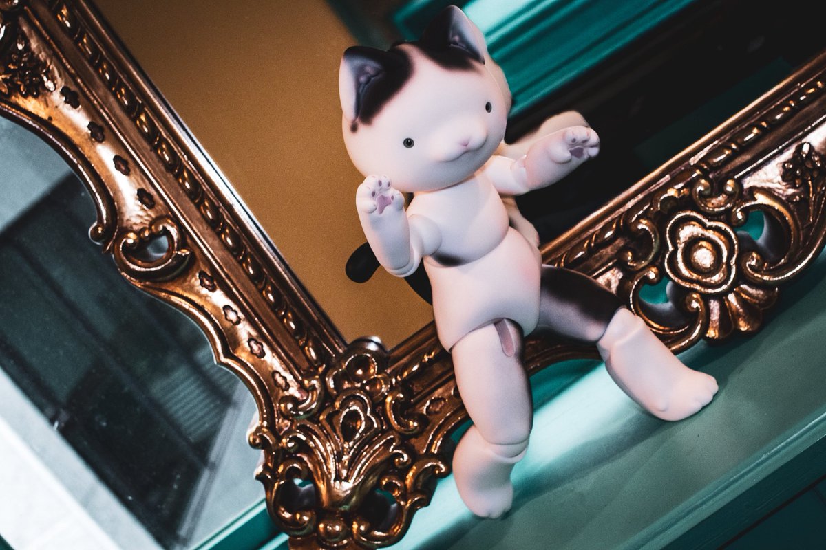 🐈‍⬛: 들켰다! 다 덤벼!