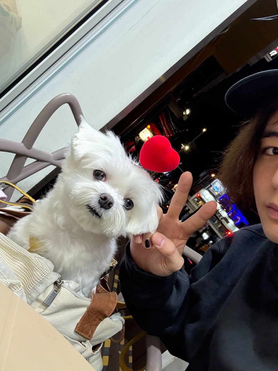 leehancokr's tweet photo. leehanie and connie…🥹🤍 https://t.co/bAL1fMvW5k