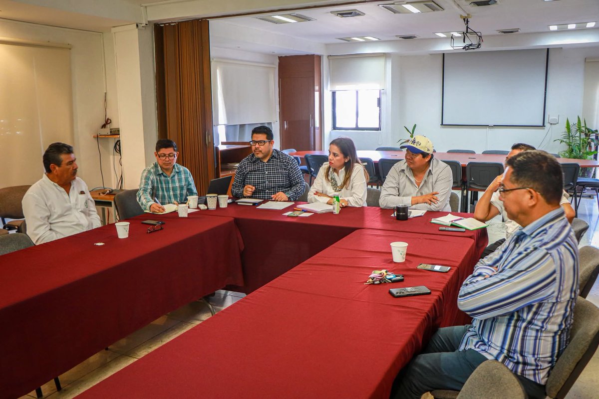 Ramón Ochoa Peña tweet media