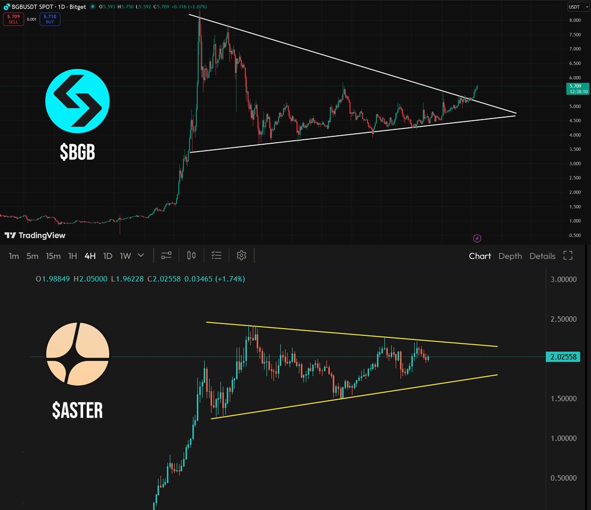 PaceCrypto tweet media