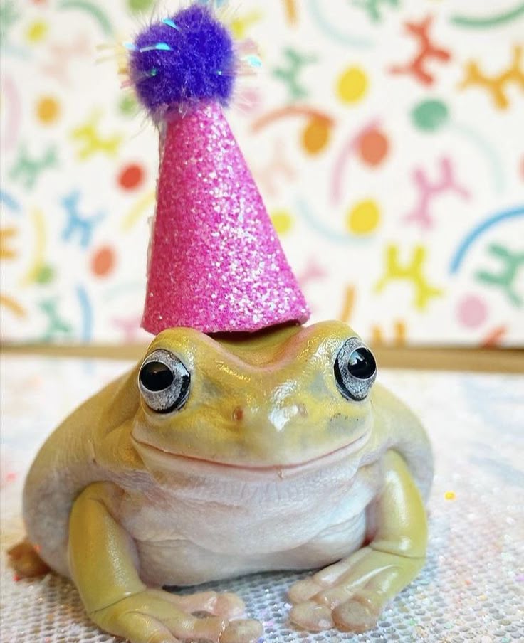 FrogBlitz24's tweet image. 