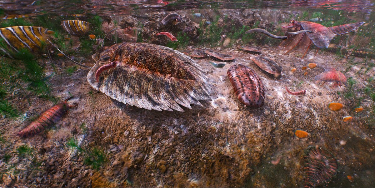 The Waukesha Biota lived in the tidal shallows of the Silurian, preserved as fossils when they fell into anoxic troughs layered with sticky microbes. Many of the arthropods here had multisegmented, worm-like bodies, like Acheronauta, whose name means “sailor on the river of woe”.