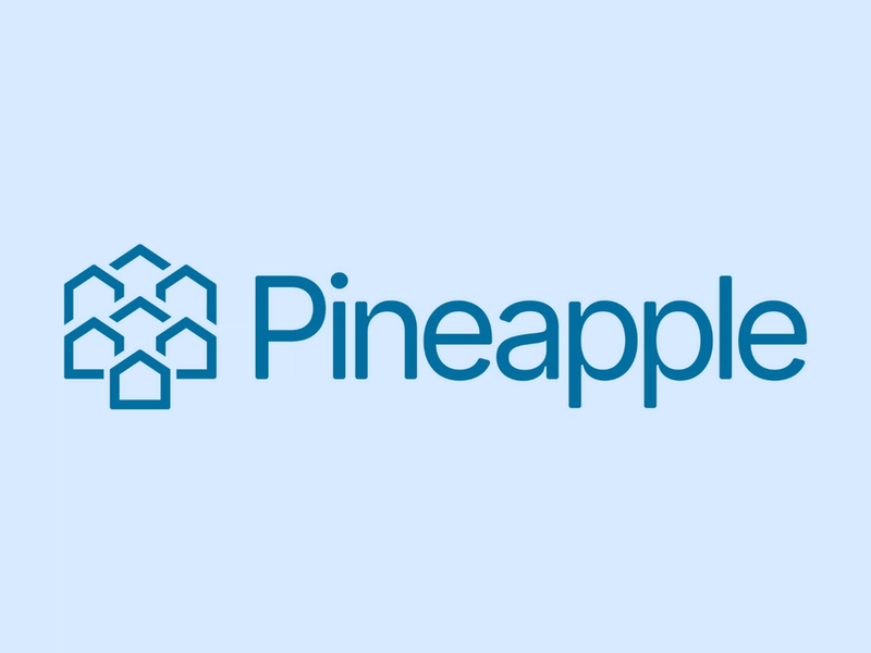 JUST IN: Pineapple has launched its $100 million Injective strategy with an initial purchase of 678,353 $INJ valued at about $8.9M
