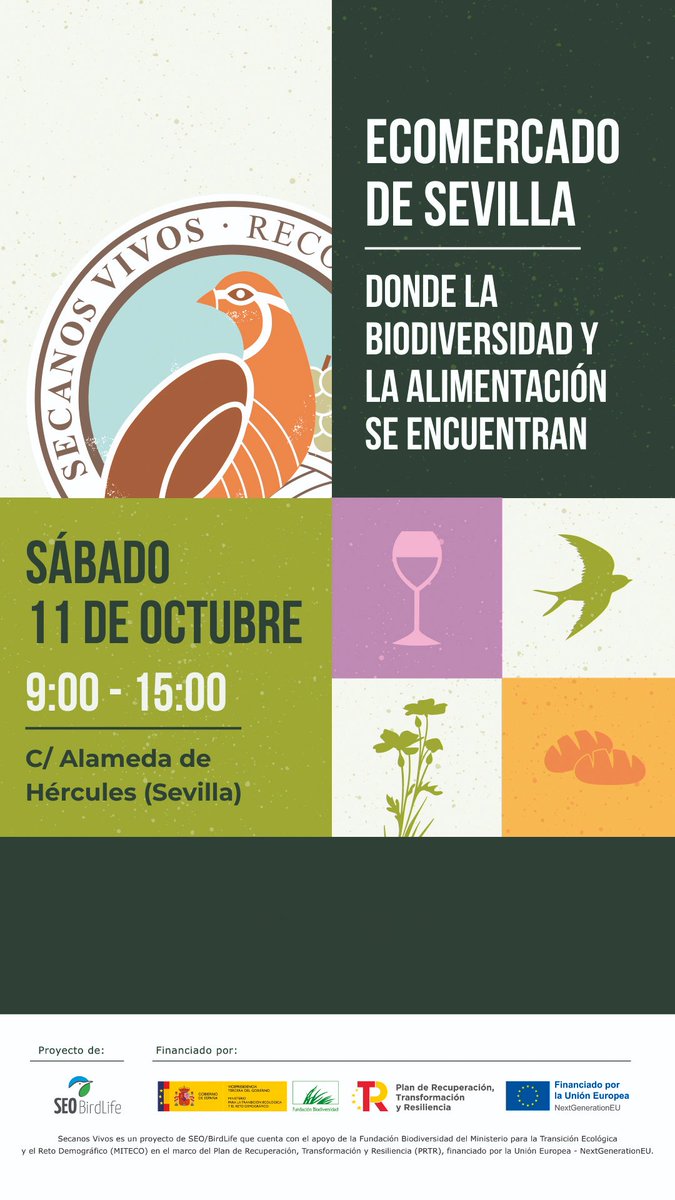 olivaresvivos's tweet photo. Esta semana estamos 🔥 on fire 🔥

Este viernes, estaremos en la feria #EcoCultura y participaremos en una jornada sobre Turismo y Biodiversidad en los Paisajes Agrarios

Y, para el finde, nos bajamos a Andalucía con dos actividades organizadas por #SecanosVivos https://t.co/FWhQ3ZeUSH