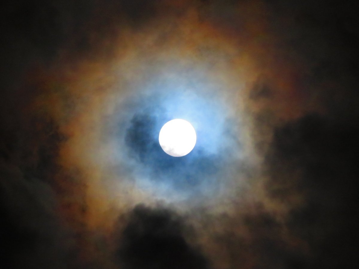arakencloud's tweet photo. 満月が夜空で輝いています。

雲がかかって月光環のおまけつき。
ぜひ夜空を見上げてみてください🌕 https://t.co/WvEKE4Nij2