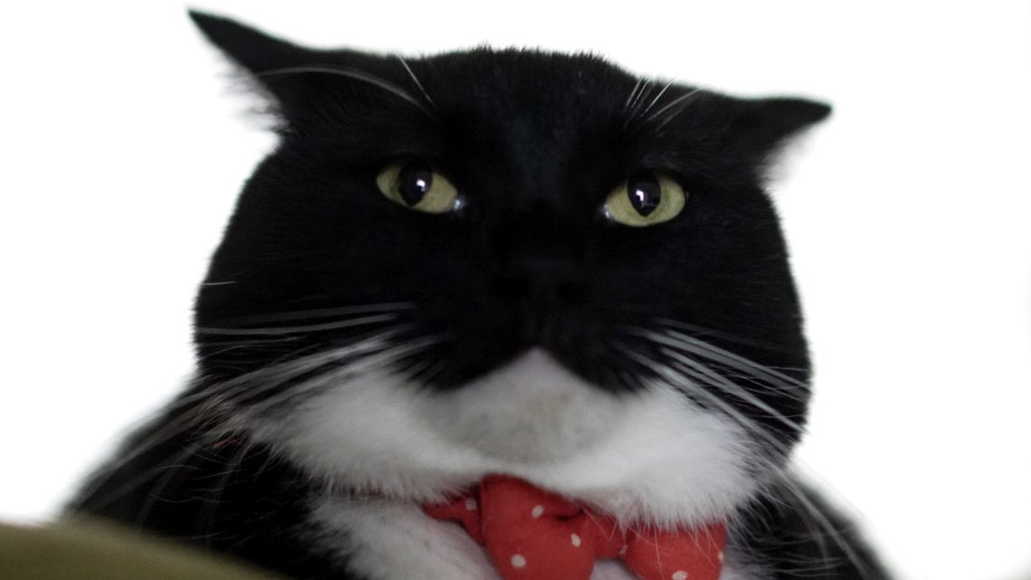 unicouniuni3's tweet image. Uni the Hutt?