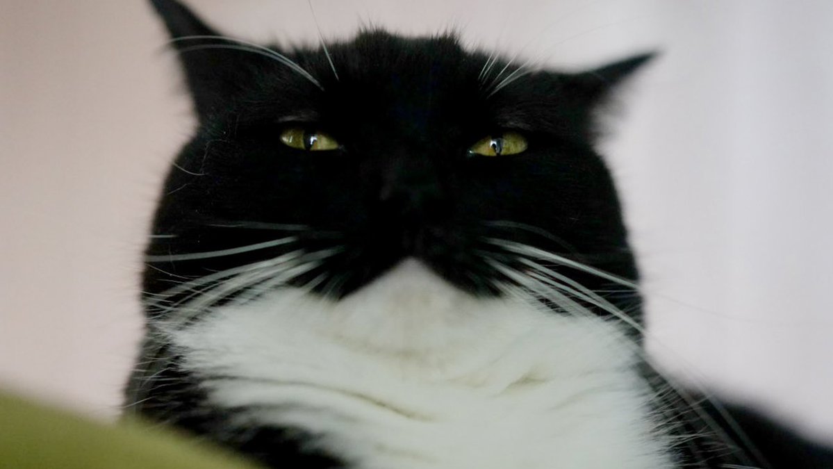 Uni the Hutt?