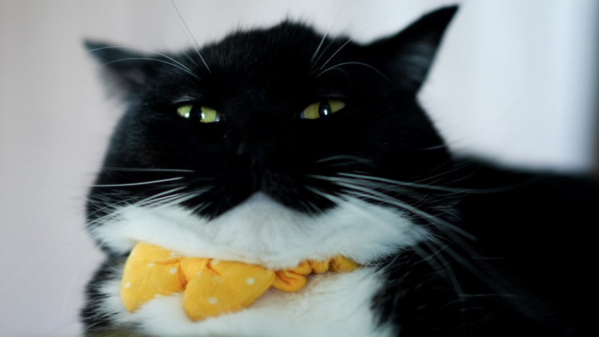 unicouniuni3's tweet image. Uni the Hutt?