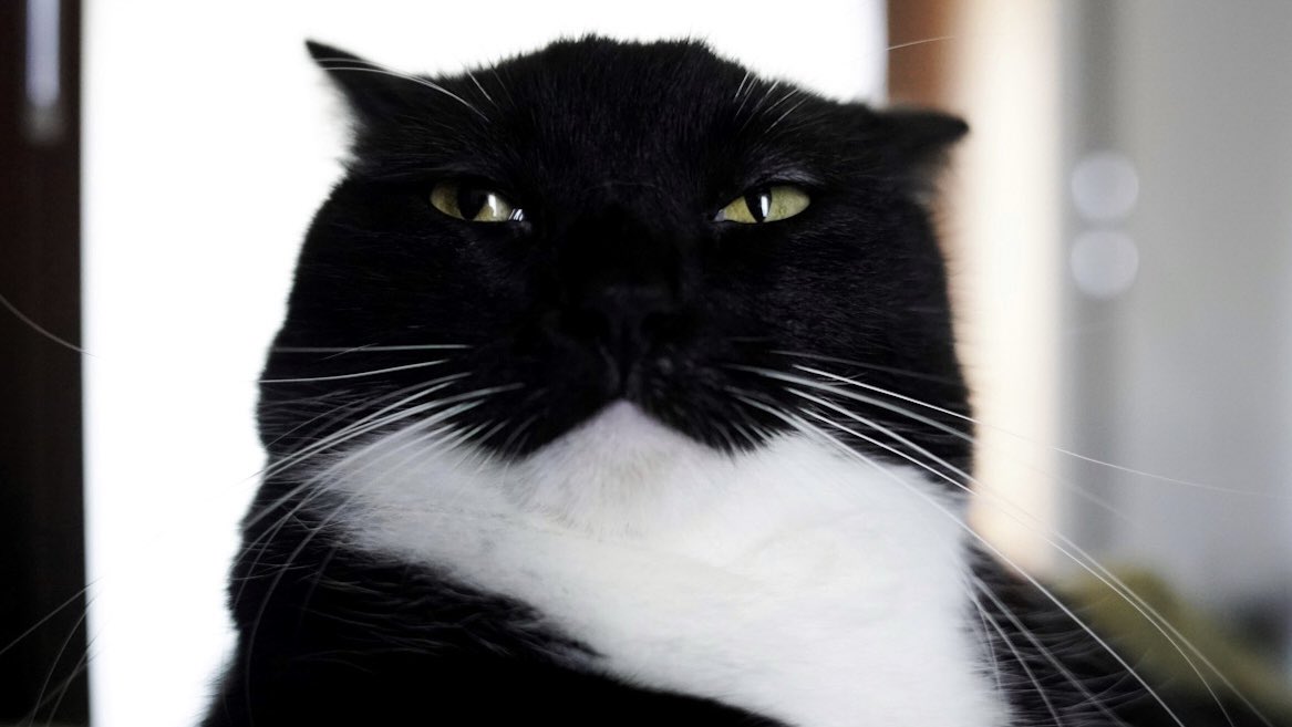 unicouniuni3's tweet image. Uni the Hutt?