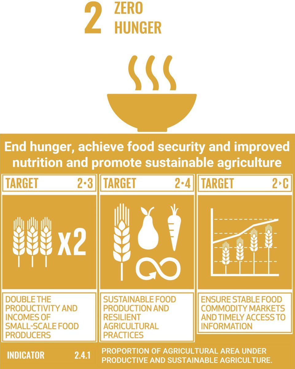 sdgsadvocates's tweet image. #Five years to come to end of the #UnitedNations #SustainableDevelopmentGoal's
#SDGs 
How well and close is the society to the #Localization of the #SDGs2
#ZeroHunger
If people still go to bed hungry
#Leavenoonebehind is not Achieved
Together is possible a better society for all