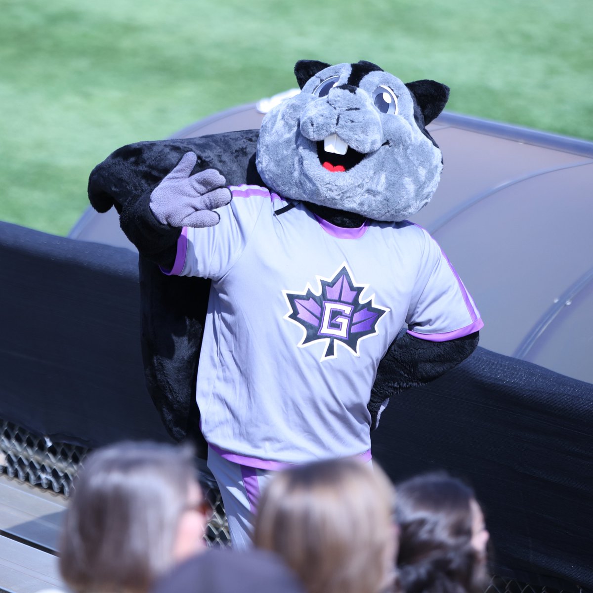GC_MapleLeafs's tweet image. Happy third birthday to our energetic mascot, Dash! They grow up so fast! #liveFULL #TheRightWayToPlay