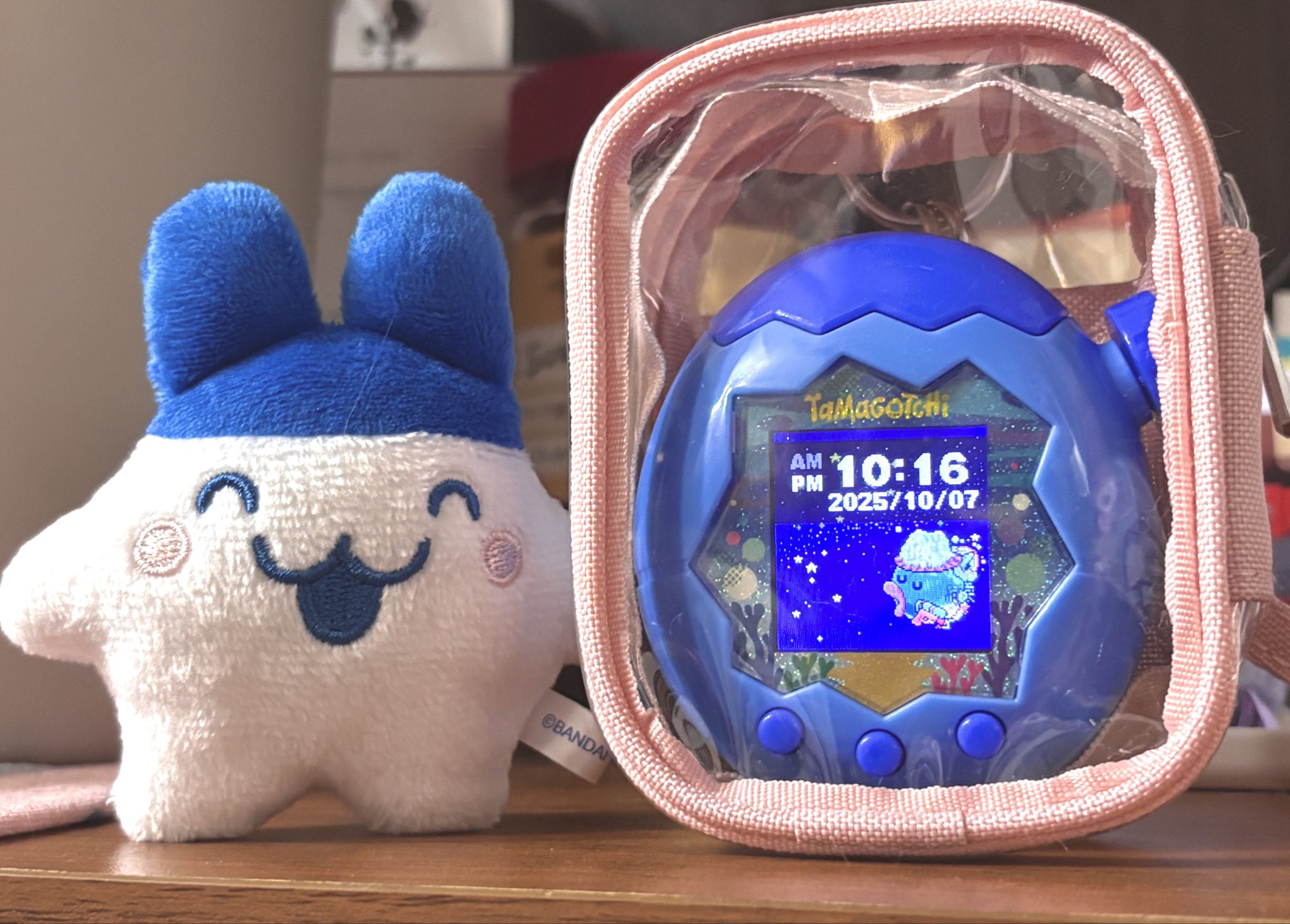 ピーチさま　専用 Peachオリジナル 1:200 A321LR スケールモデル - Peach公式