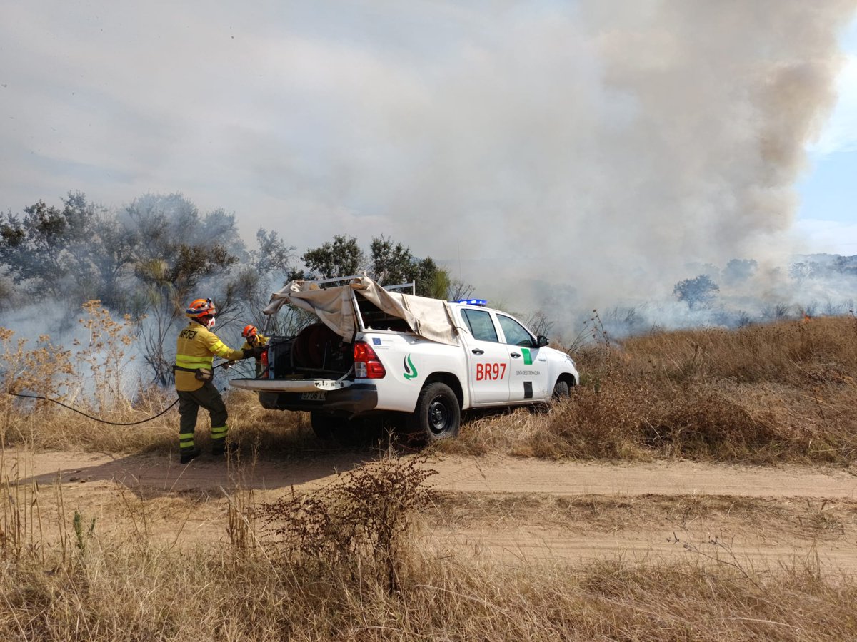 Matefireman tweet media