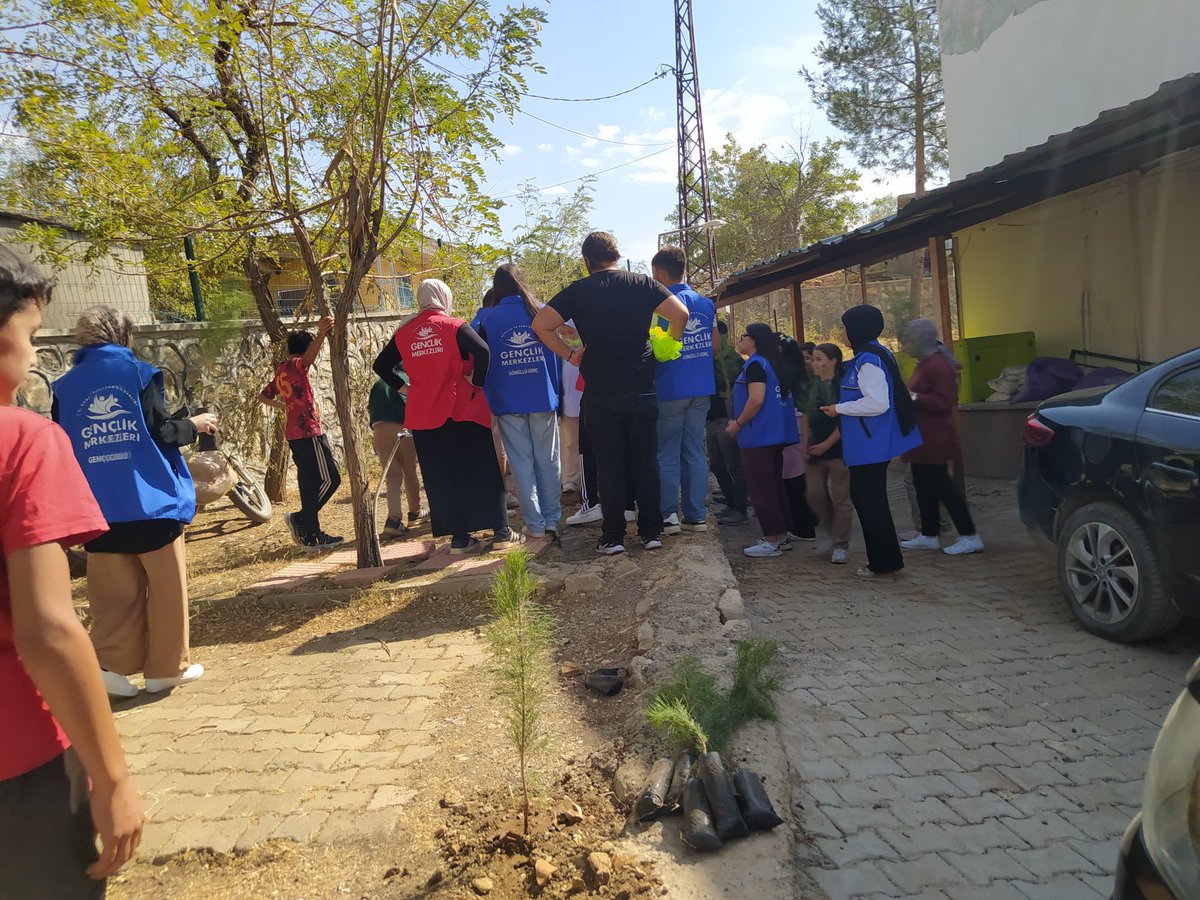 Ağaç dikiminden kareler.