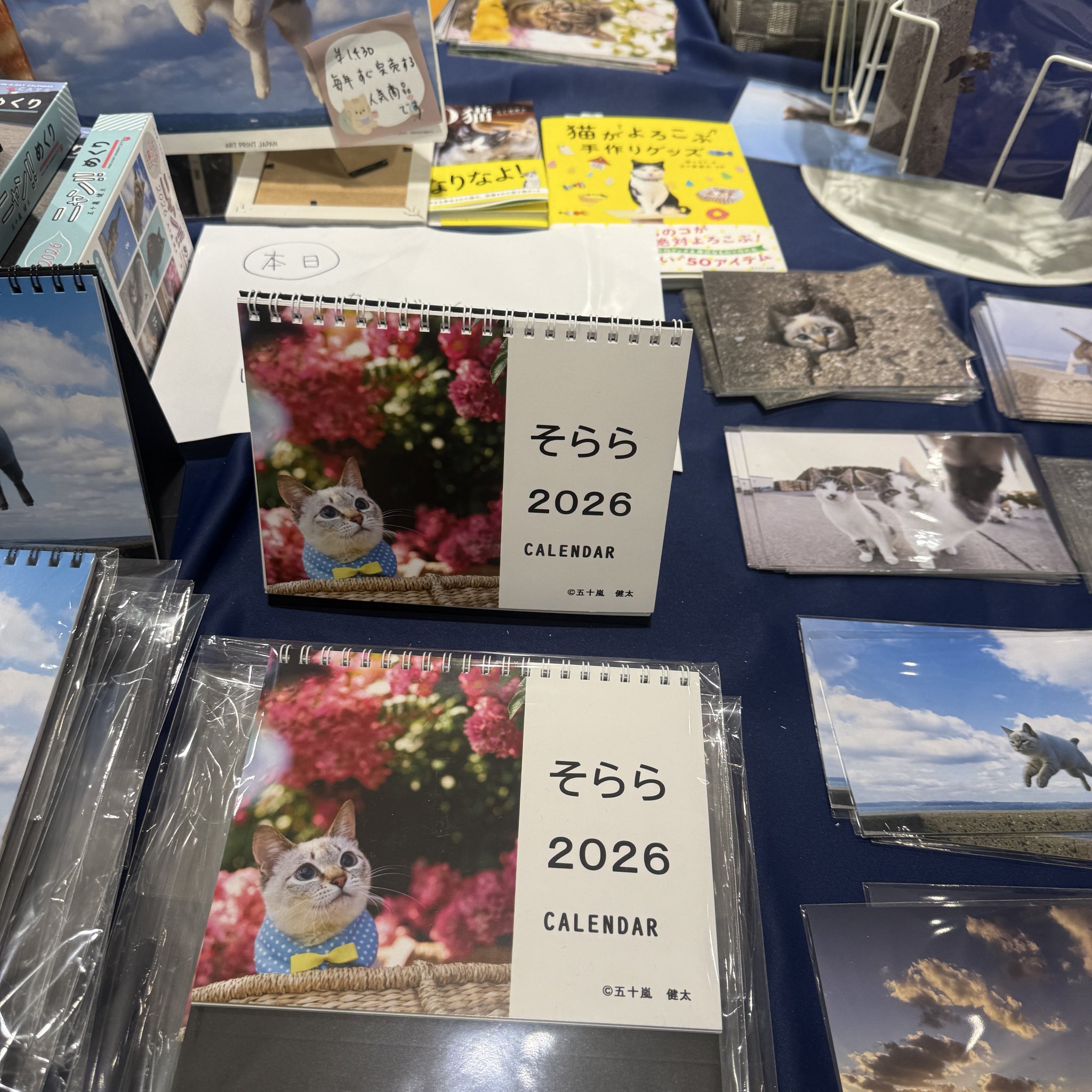 五十嵐健太@飛び猫®︎ on X: 