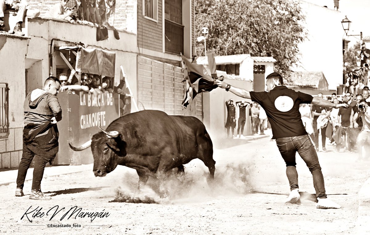 Torres de la Alameda y sus salidas.