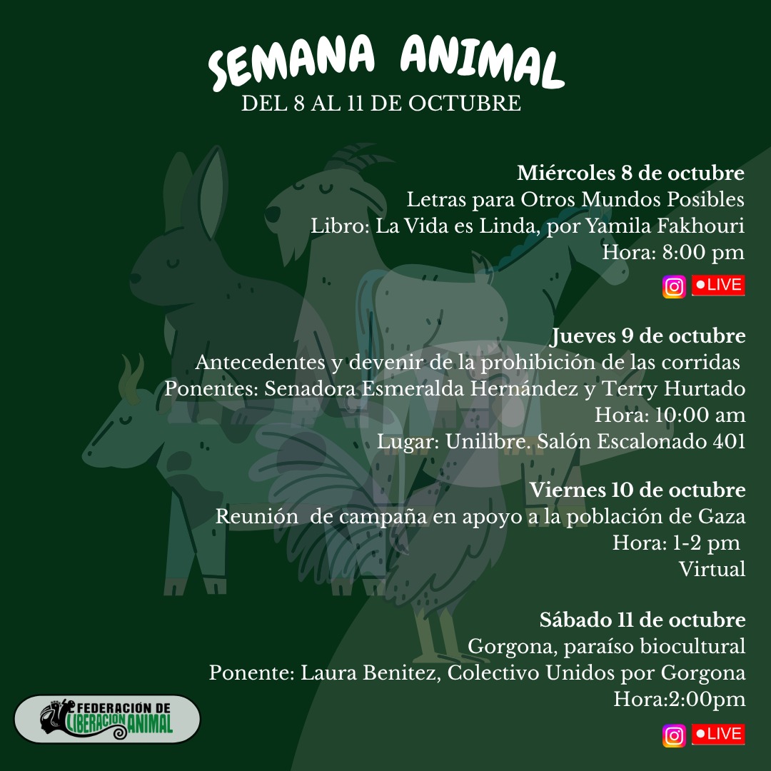 fdlanimal's tweet image. #SemanaAnimal 2025

¡Participa en la Semana Animal! 🐣

Desde este miércoles 8 hasta el sábado 11 de octubre.

El link de inscripción para la reunión del viernes se pondrá en las historias.