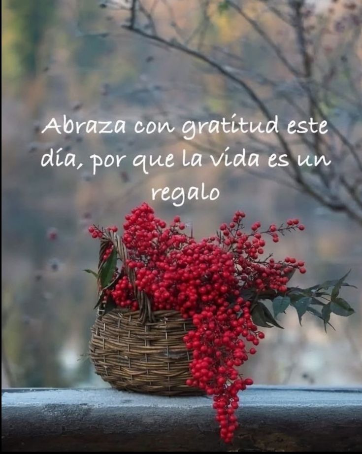 @_RuePrincesse Dios vaya delante de ti para guiarte, detrás de ti para protegerte y dentro de ti para darle sentido a tu vida.
Buenos días Alondra 🌹 
Gracias ☺️