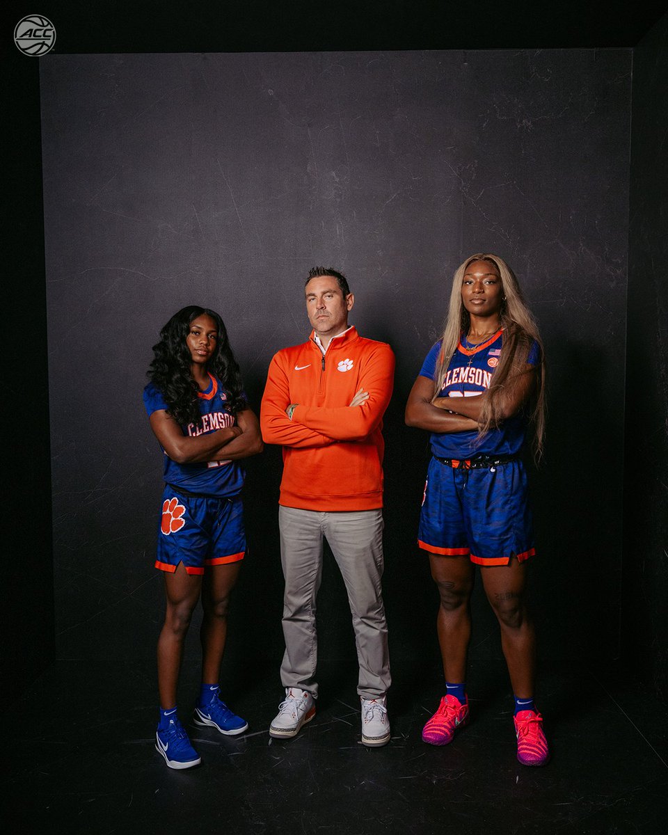 accwbb's tweet image. On the prowl 🐅