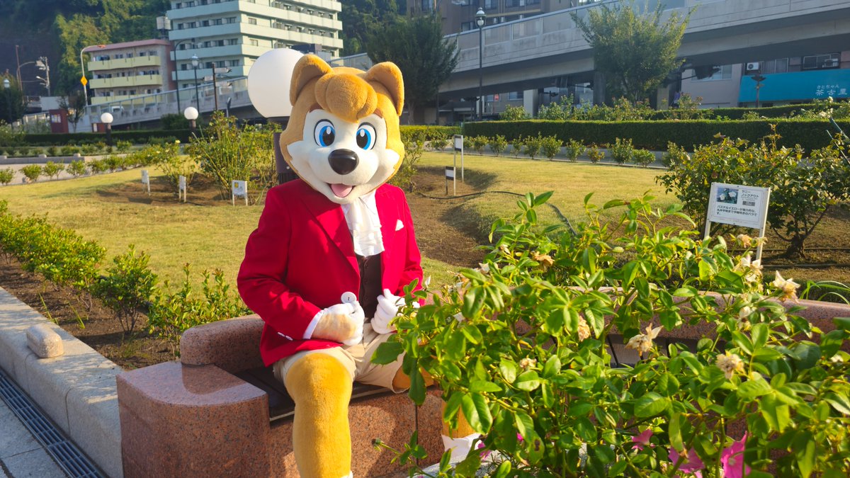 みんなおはようUo^ｪ^oU

今日は世界脊椎デーだって
僕ら脊椎動物の日だね！