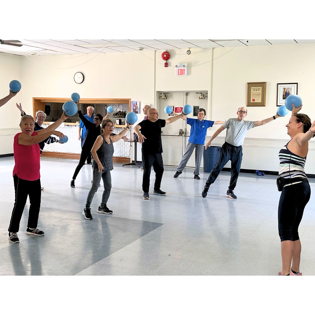 Metamorphosis Network tweet media