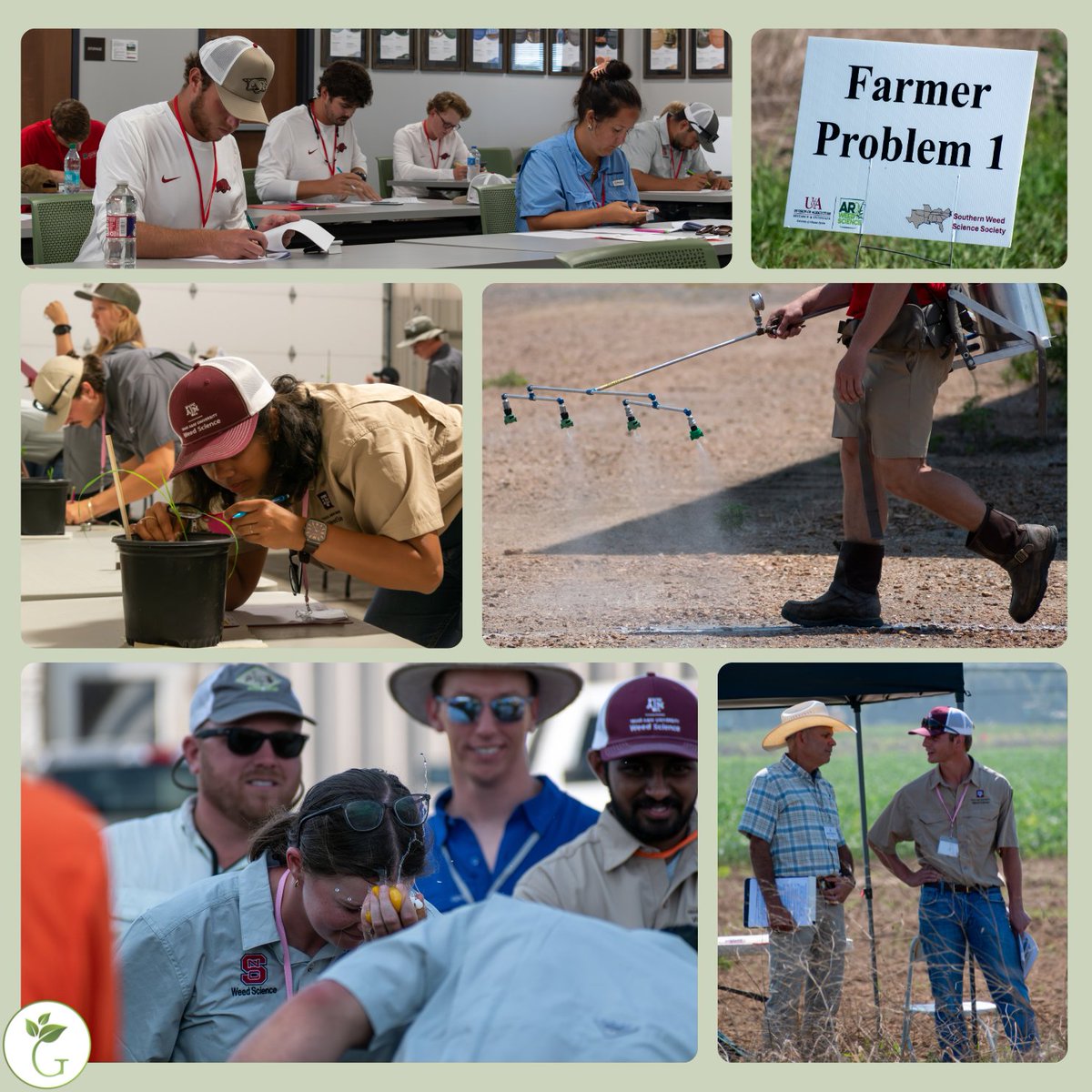 GROW.IWM (@getridofweeds) on Twitter photo Do you know how students prepare for a career in weed science? Read this week’s article to see how regional weed science societies ready students for this world by pitting them head-to-head in competitions on:
🌱Written herbicide calibration
🌱Weed identification
🌱Team Do you know how students prepare for a career in weed science? Read this week’s article to see how regional weed science societies ready students for this world by pitting them head-to-head in competitions on:
🌱Written herbicide calibration
🌱Weed identification
🌱Team