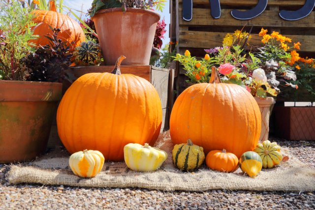 今日は早めに寝る。。。