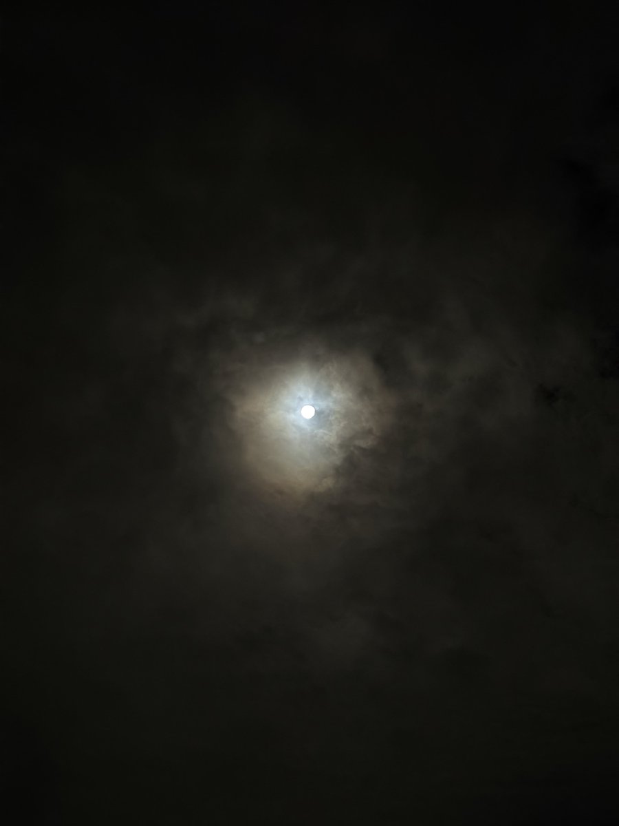 SnowHideJP's tweet photo. 秋ですね🌕🍡路上の野良猫もなんとなくのんびりしてたような🐈 #STEPNMoon https://t.co/o0VvMYbLr5