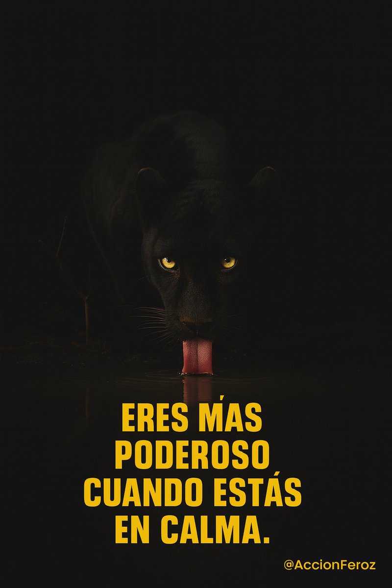 AccionTotalIA's tweet photo. https://t.co/TCk107Emzn