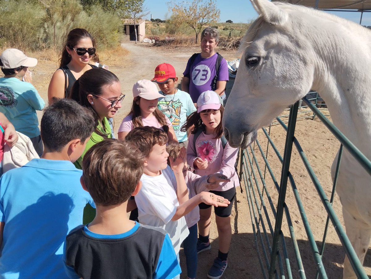 🌿✨ Este sábado hemos visitado el centro de fauna Kuna Ibérica, un lugar muy especial donde pudimos ver de cerca algunos de los animales que habitan sueltos en el Monte Mediterráneo  🦊🐗🦉

 ¡Muchas gracias a todos los participantes por asistir! 🌳🦅