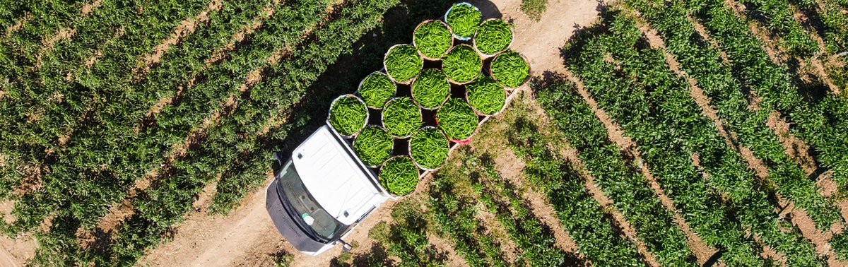 LaShellLentzMS's tweet image. Did you know you can use investment losses to offset your capital gains and reduce your tax bill? Learn more about how tax-loss harvesting can work for you: livesocial.seismic.com/tKvoDv