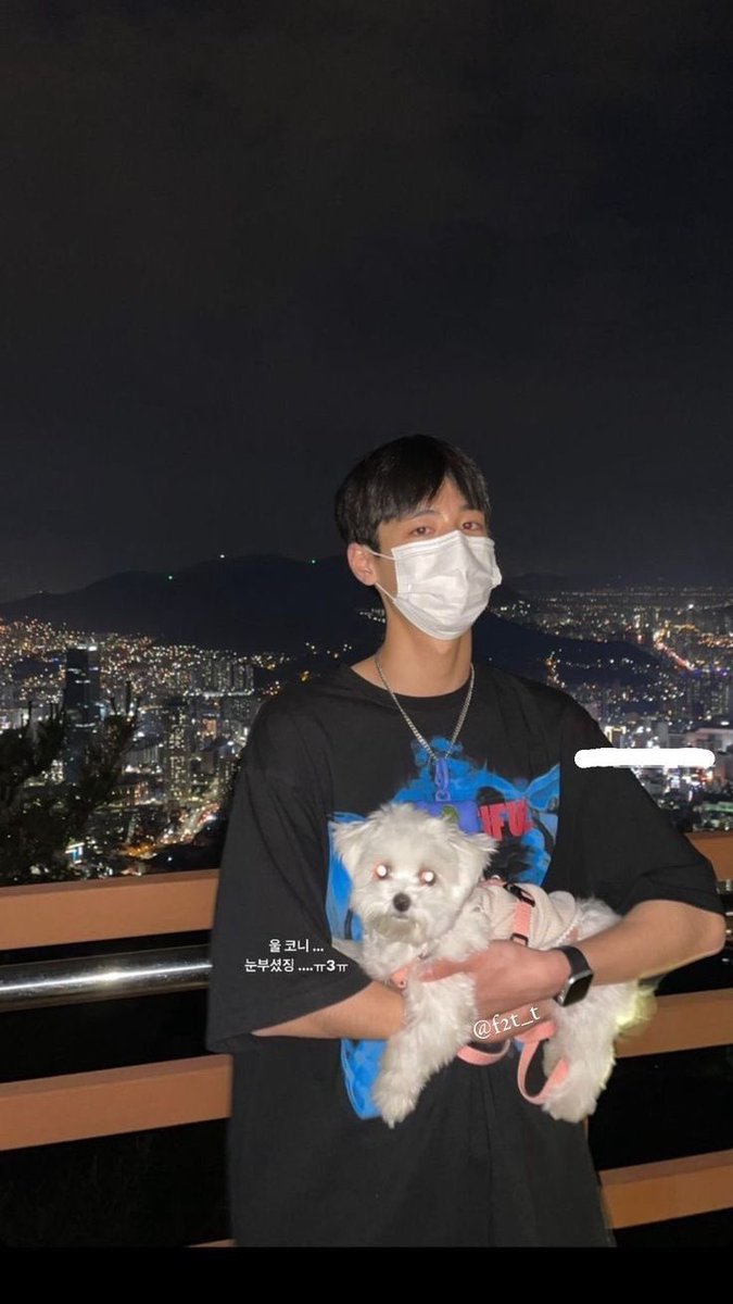 이한말고 김동현..