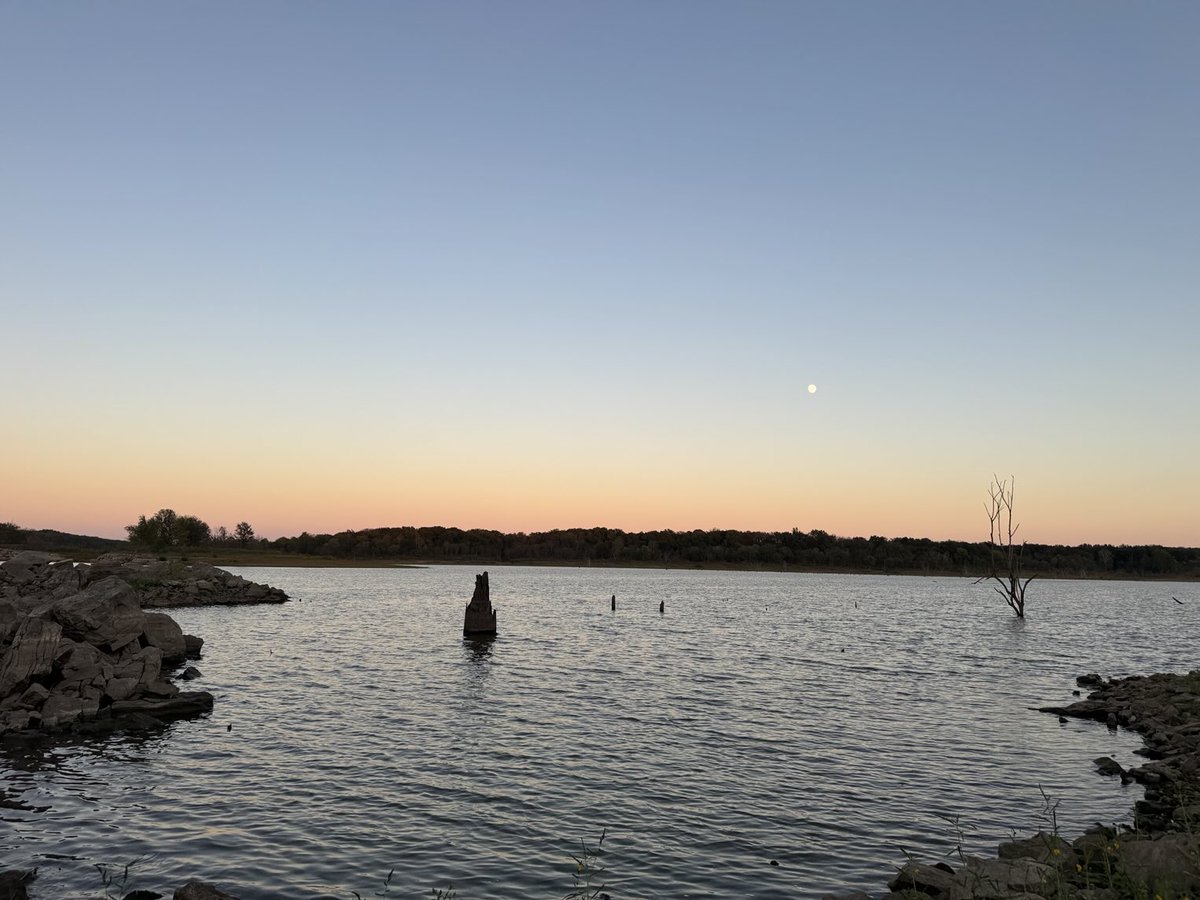 oss_kc's tweet image. 