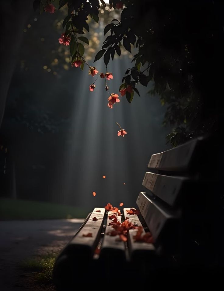 الحقيقة  ..  شعور وليسَ كل شعورٍ قابل أن يكون واقع يعاش ..!! 

#جنون_الحرف 
#حكاية_حرف