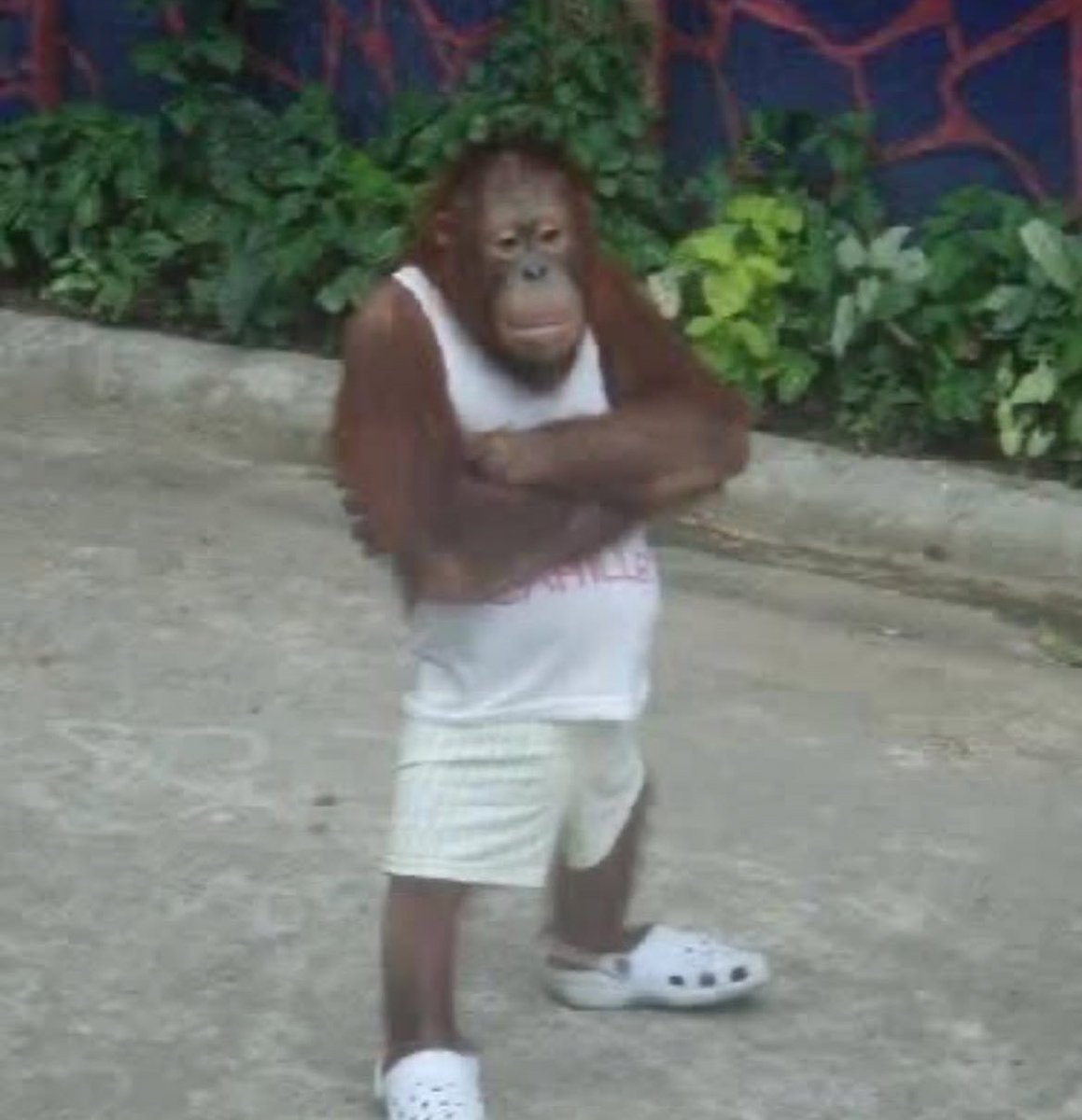 “a mi no me interesa el chisme”

yo apenas escucho un ruido afuera de mi casa: