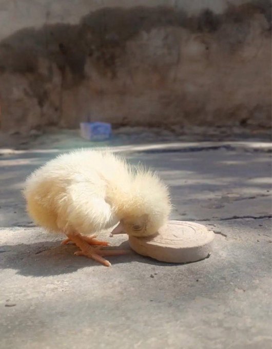 "صُورَةٌ تَشْرَحُ الْكَثِيرَ...".