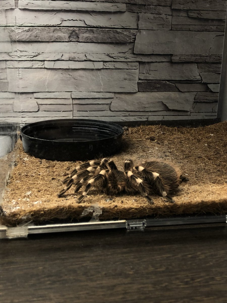 u seriously man? 🕊️ tweet media