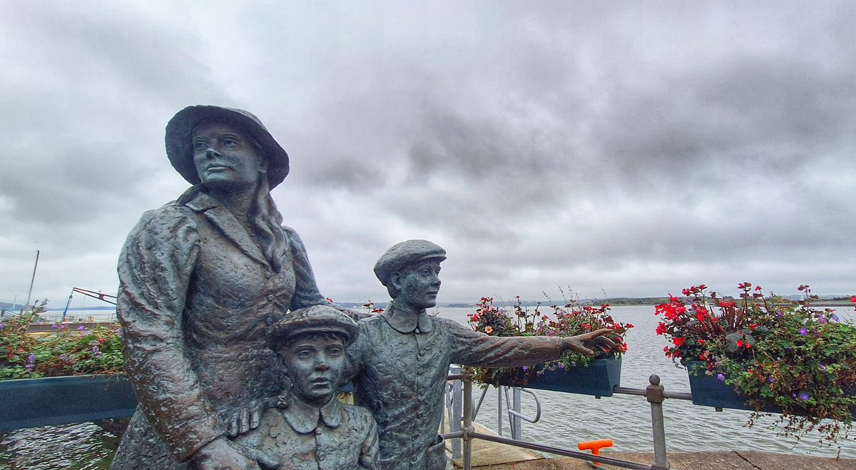 Patrick Kenealy tweet media