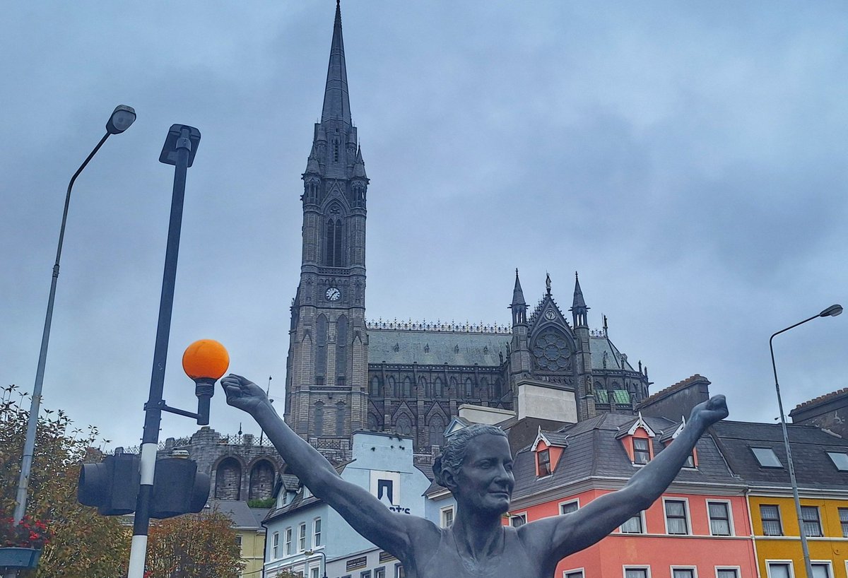 Patrick Kenealy tweet media