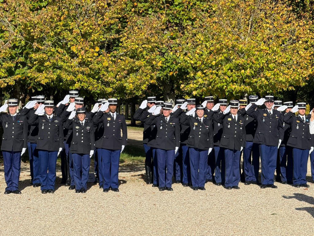 Thomas Gourlan tweet media