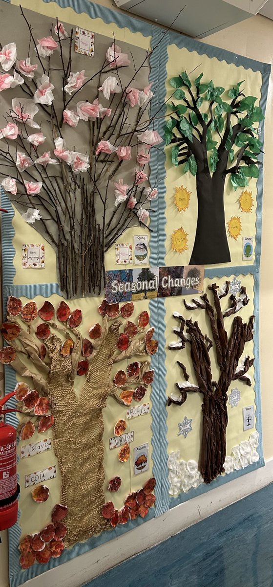 We have continuous discussions in Reception regarding the changes of the seasons ; we looked for signs of autumn on our backfield. The children collected leaves, twigs etc and these were put in a tuff tray for the children to explore further.