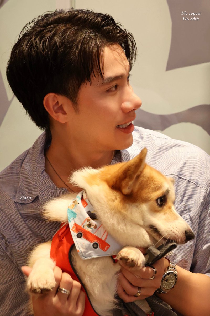 shiori22rir's tweet image. 🐶: Everyone says Tul Papa is cute, but I’m cute too, right? Because I look just like him!

@octotul #tul_pakorn 
#Mushu #AlwaysTulgether
※ Don’t remove the credit, edit, or repost this on other SNS